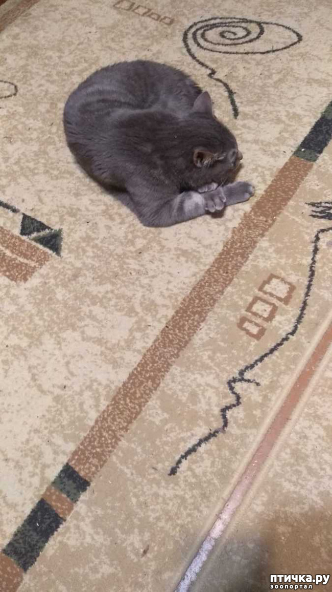  3: , 