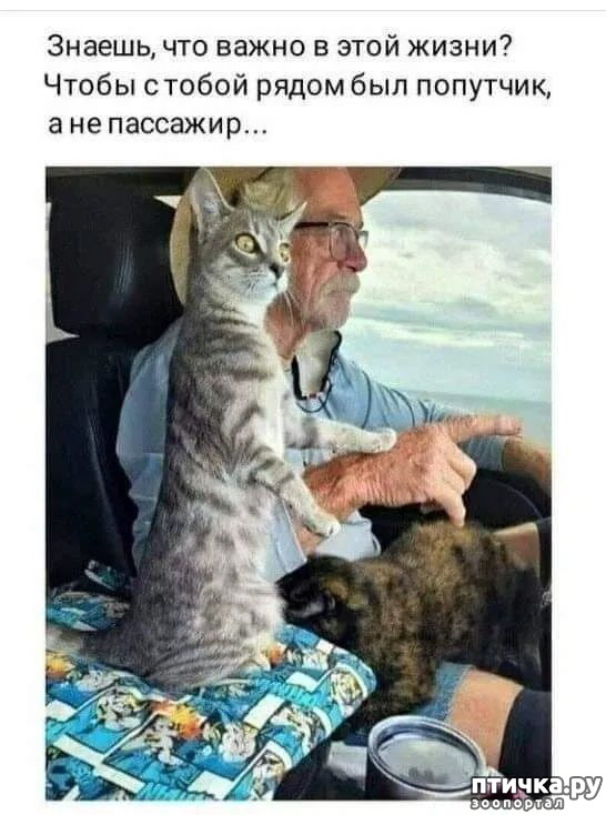  2:    (   )