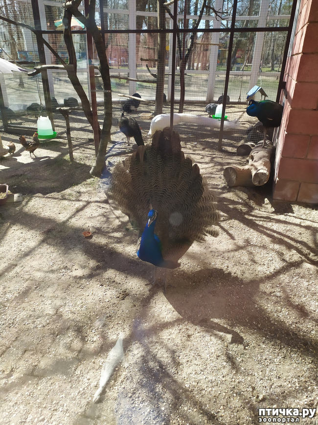  1:   !