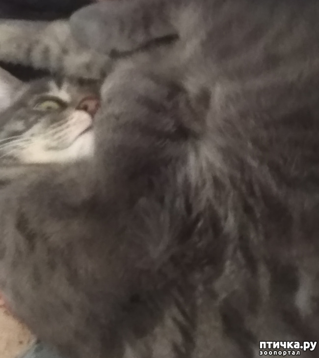  1:   