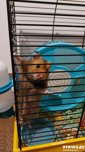 : !
