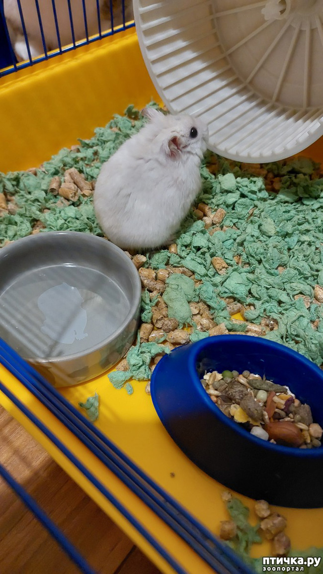  2: !