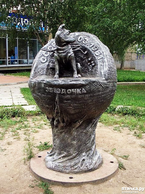  17:   