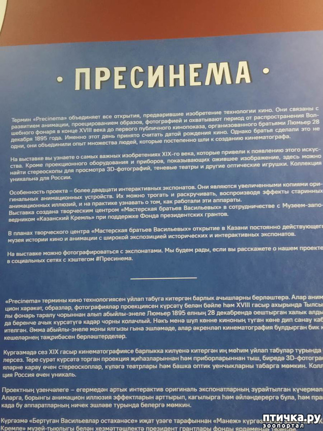 фото 9: Прогулка по Казани. Выставка "Пресинема"
