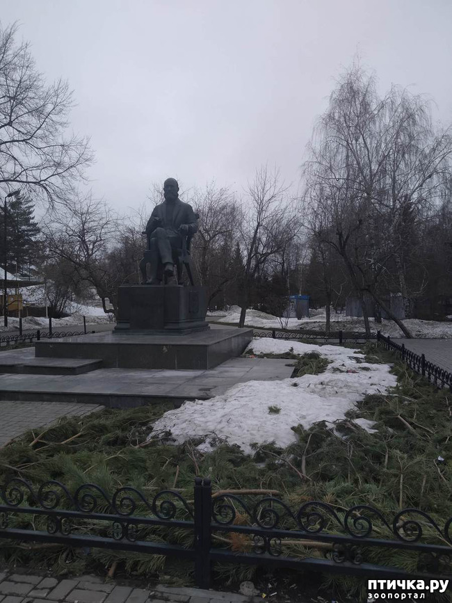 фото 1: Прогулка по Казани. Выставка "Пресинема"