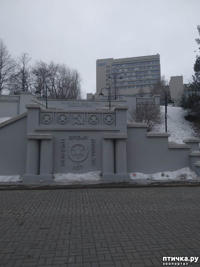 фото 2: Прогулка по Казани. Выставка "Пресинема"