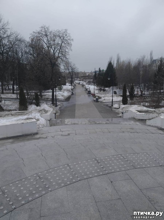 фото 4: Прогулка по Казани. Выставка "Пресинема"