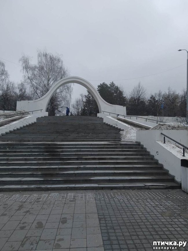 фото 5: Прогулка по Казани. Выставка "Пресинема"