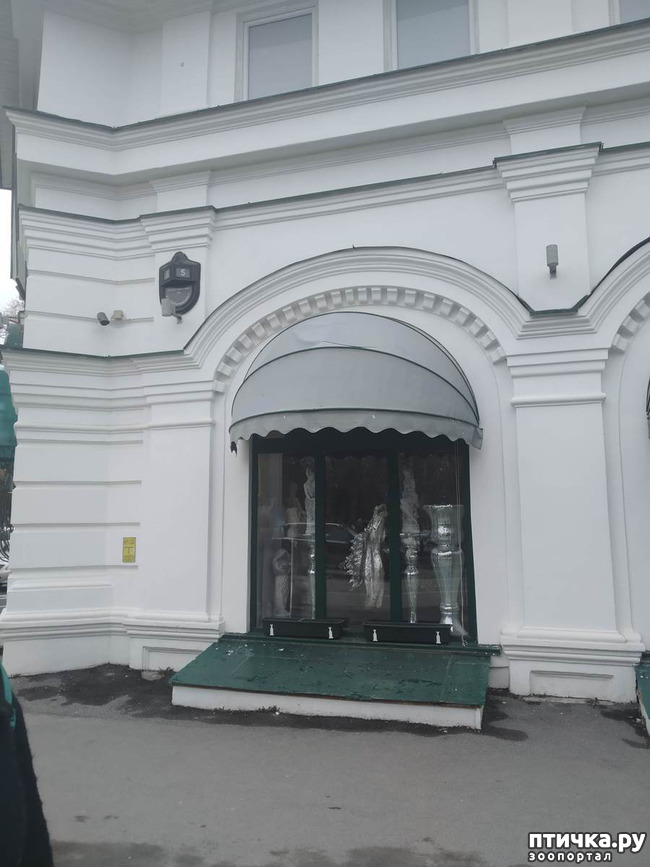 фото 6: Прогулка по Казани. Выставка "Пресинема"