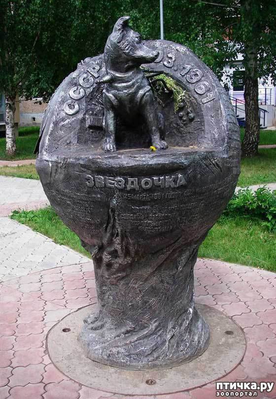  8:    