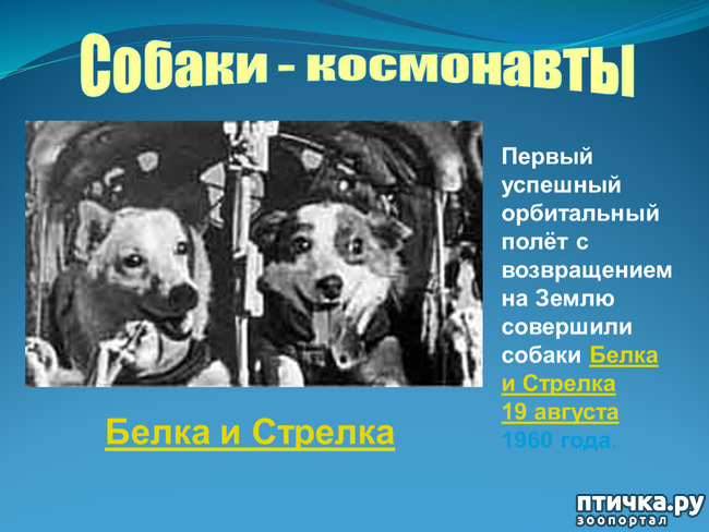  13:    