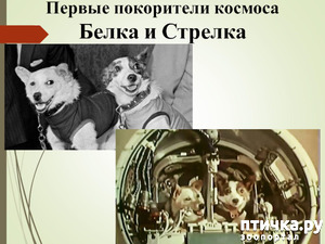 :    
