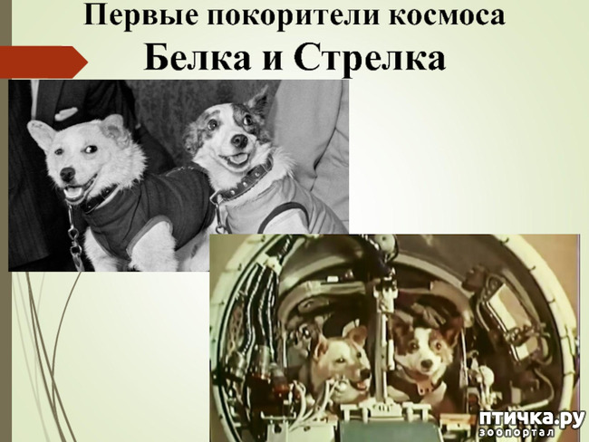  1:    