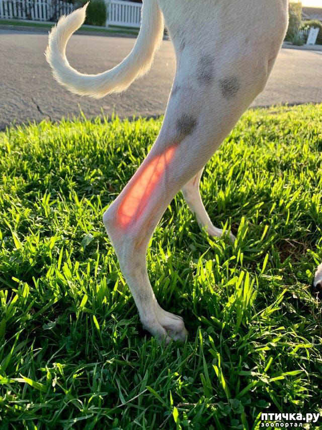  6:  !
