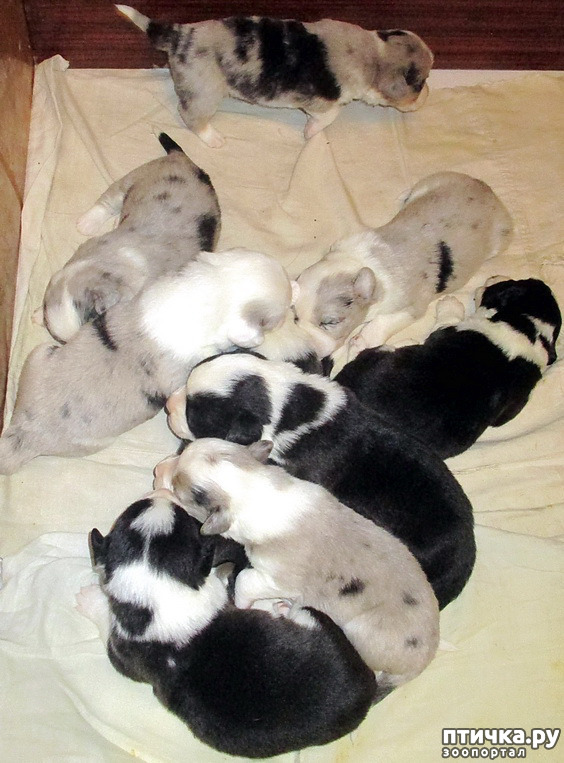  2:  