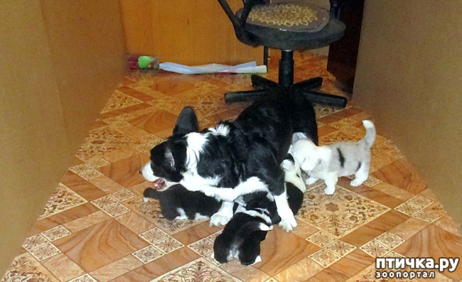  8:  