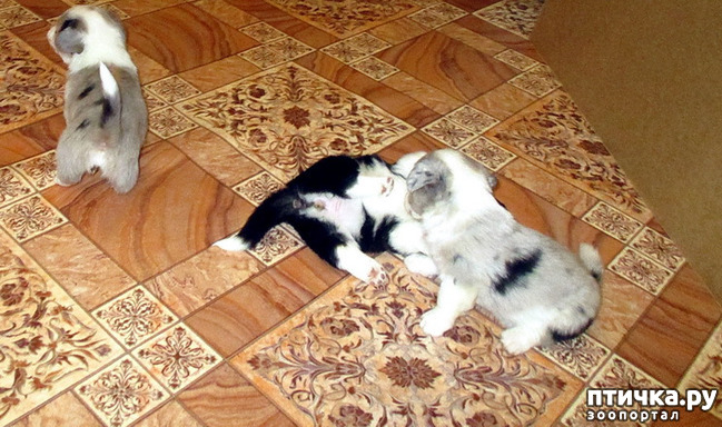  10:  