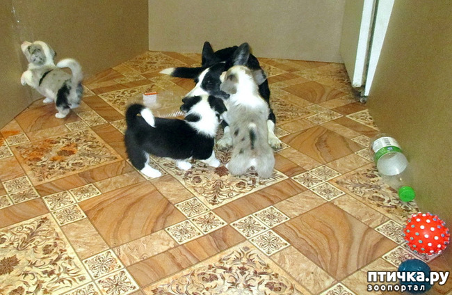  46:  