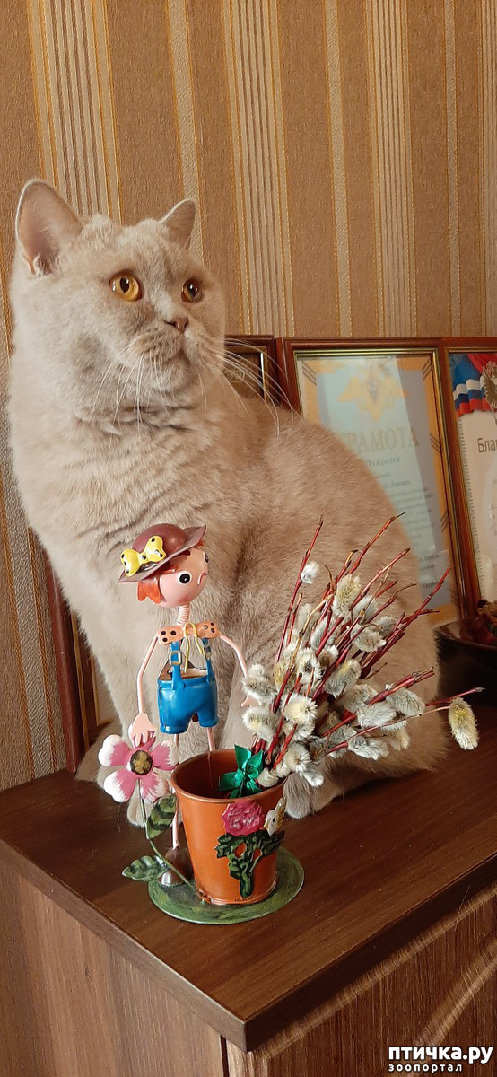  11:    