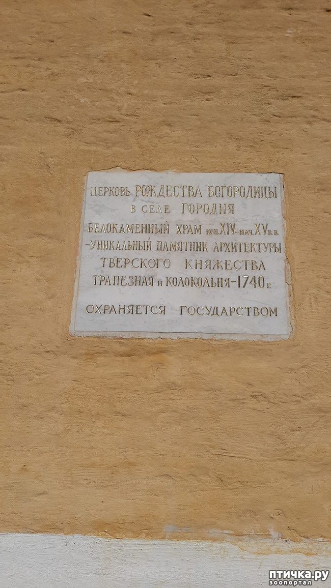  4:    