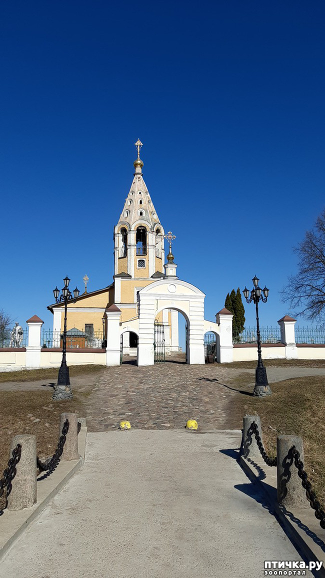  5:    