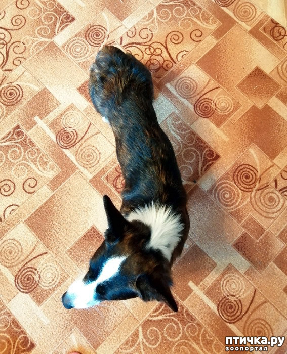  1:   