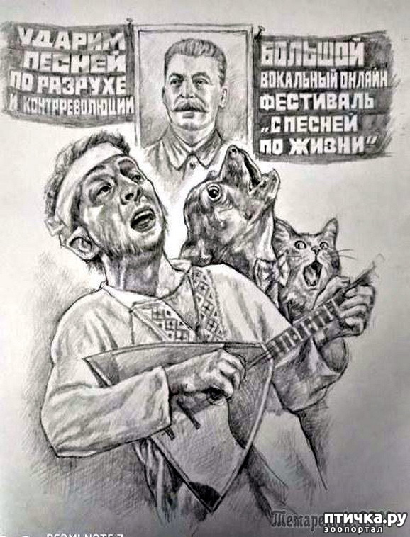  6:    