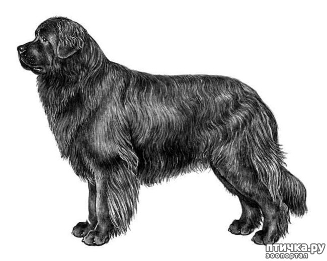  10:    
