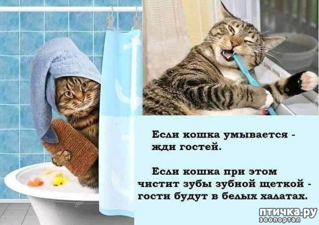  3:   