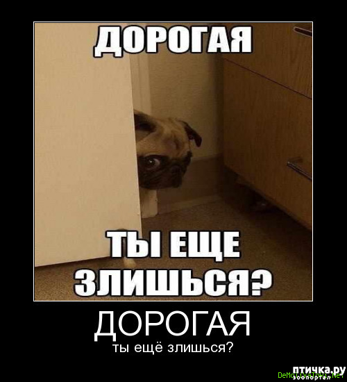 Долго дуться будешь картинка