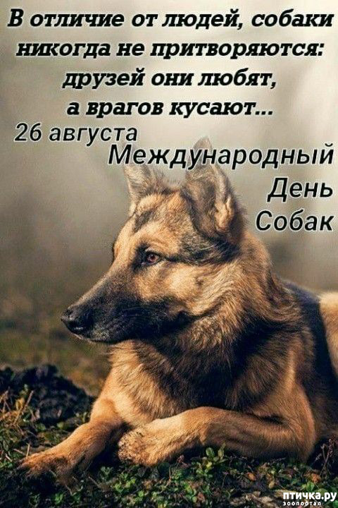  1:  ,     !