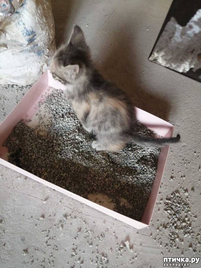  5:    