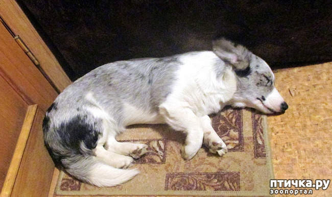  2: 