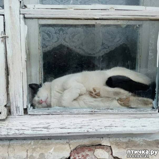  1:  