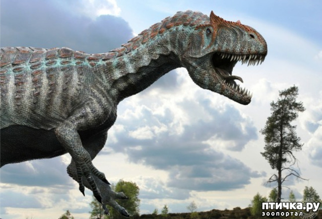 фото 3: Аллозавр - хищный динозавр юрского периода