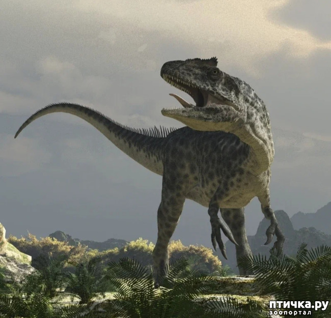 фото 4: Аллозавр - хищный динозавр юрского периода