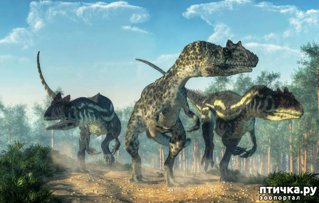 фото 5: Аллозавр - хищный динозавр юрского периода