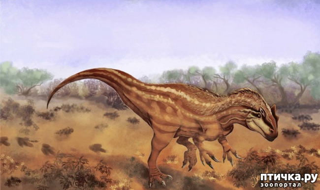 фото 7: Аллозавр - хищный динозавр юрского периода
