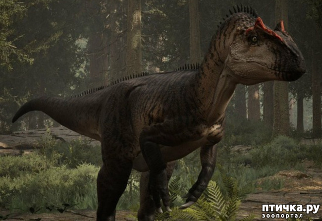 фото 2: Аллозавр - хищный динозавр юрского периода