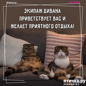 :        
