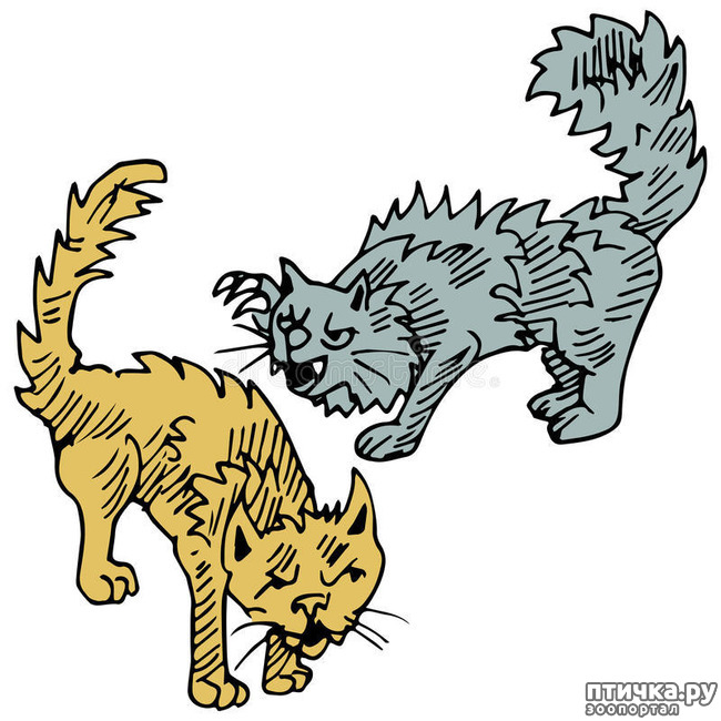  5:  