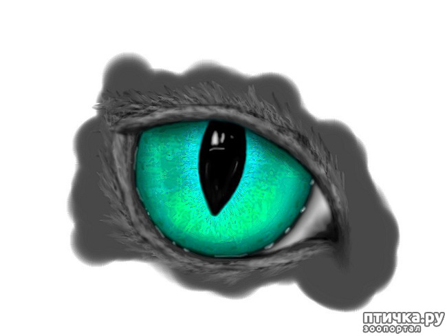  7:  