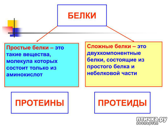  6:  