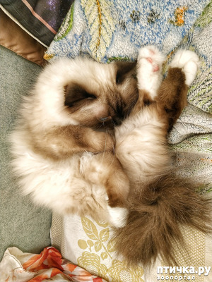 :     !?