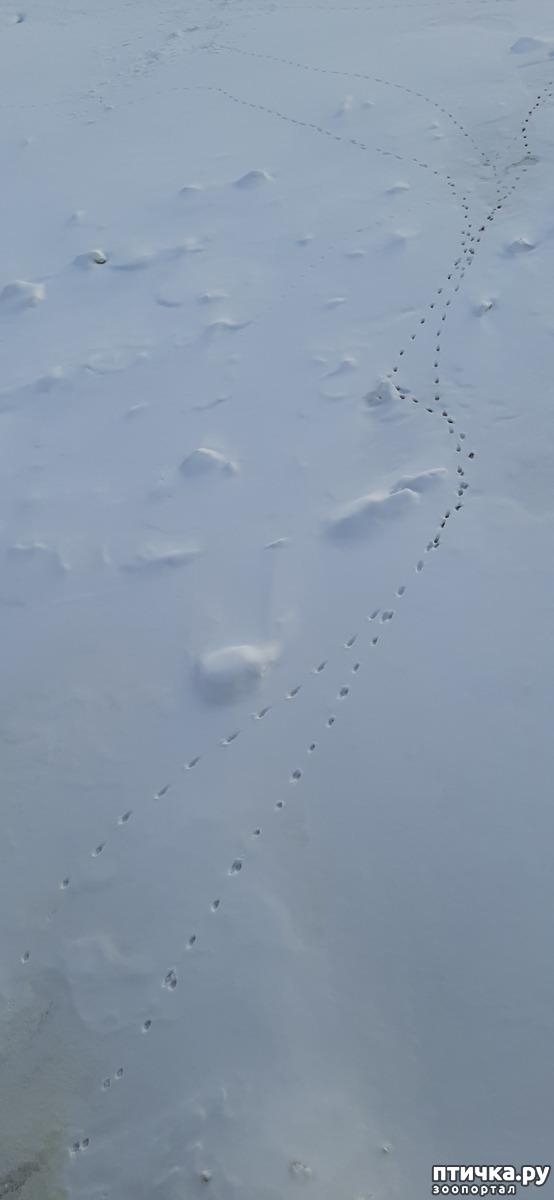  5:     