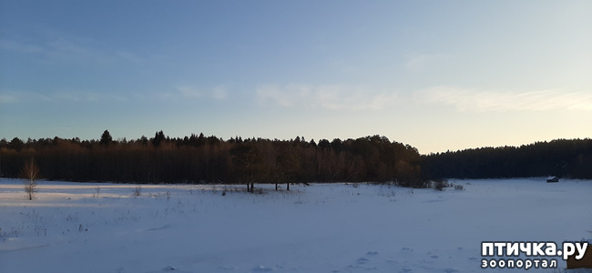  4:     
