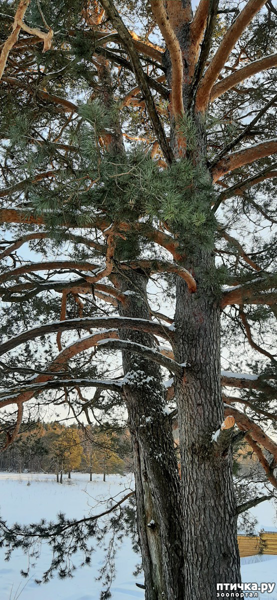  3:     