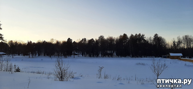  10:     