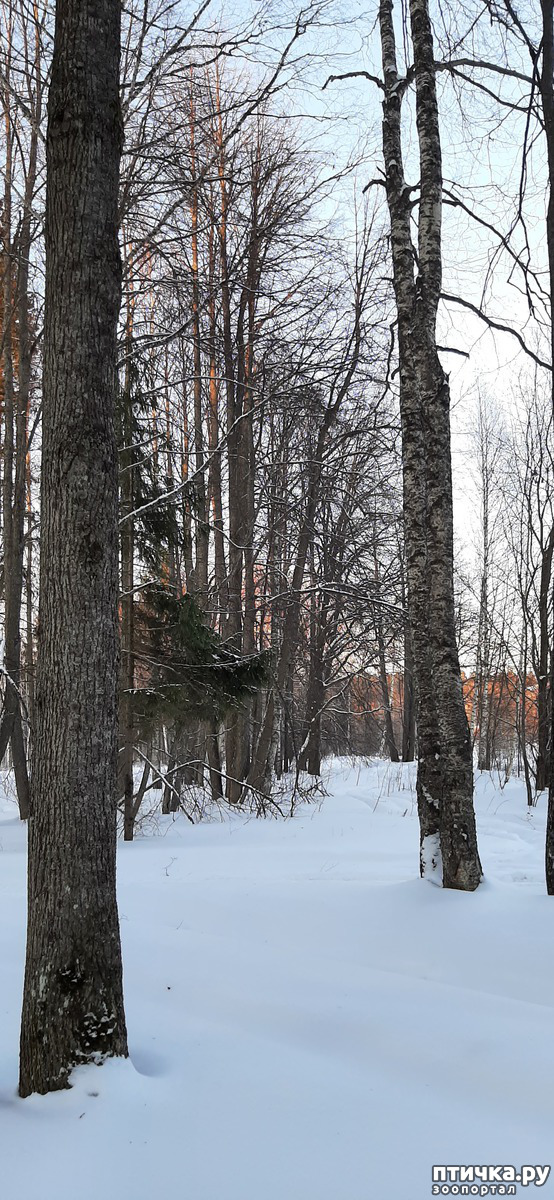  15:     