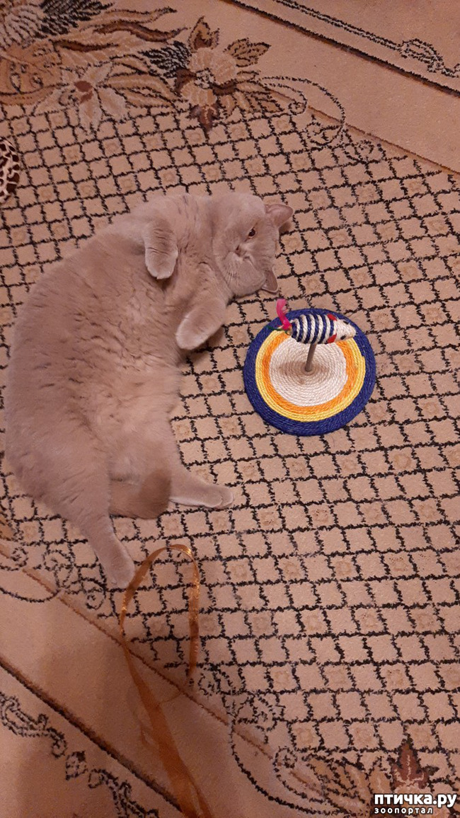  1:     